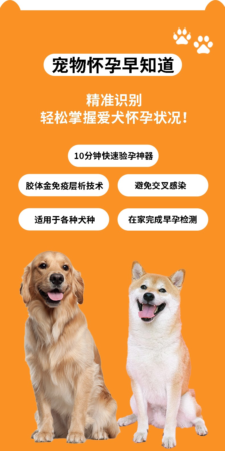 1732350779514979.jpg