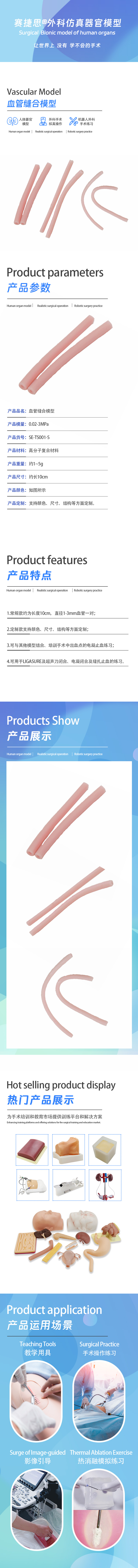 血管缝合模型.jpg