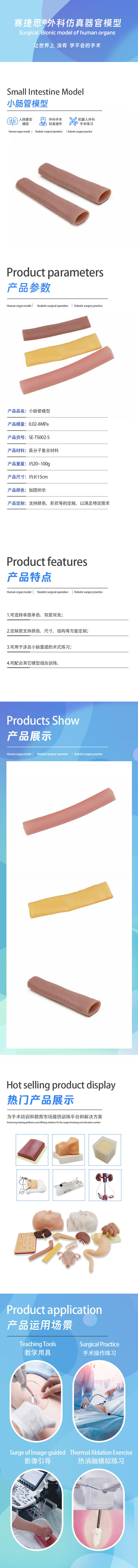 1734076701155135.jpg 小肠管模型.jpg