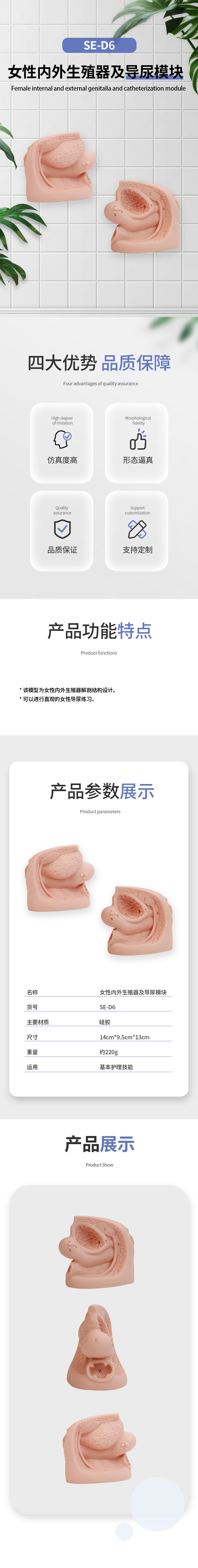 1739869282571384.jpg SE-D6-女性导尿-中.jpg