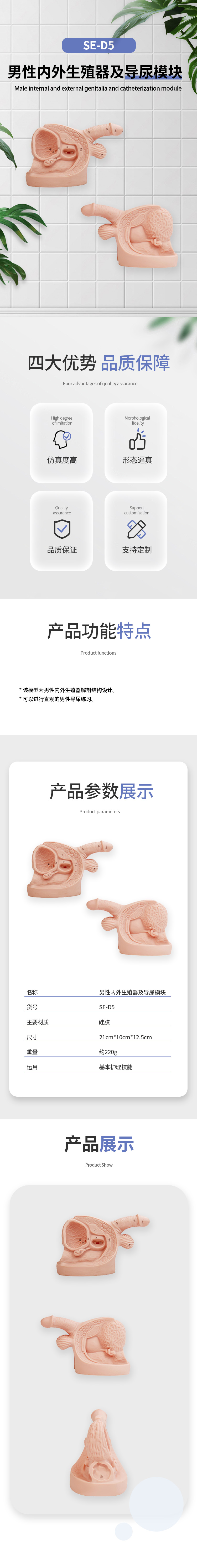 1739869424730172.jpg SE-D5-男性导尿-中.jpg