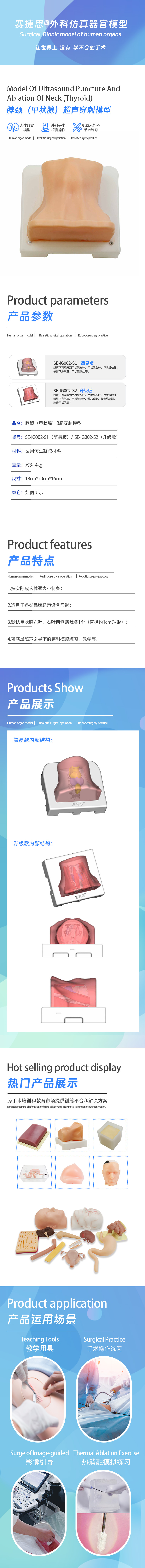 1742287627935066.jpg 脖颈(甲状腺)B超穿刺消融模型.jpg