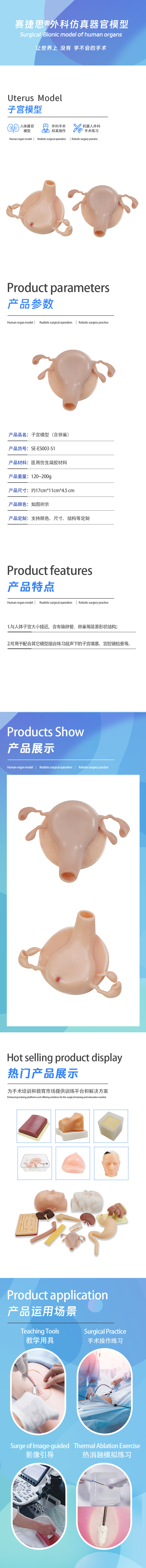 子宫模型（含卵巢）.jpg